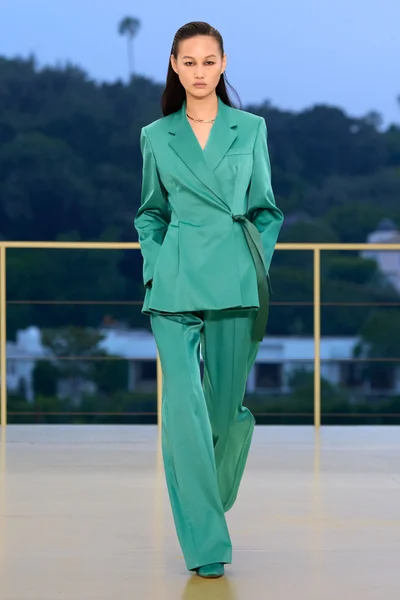 Look 37